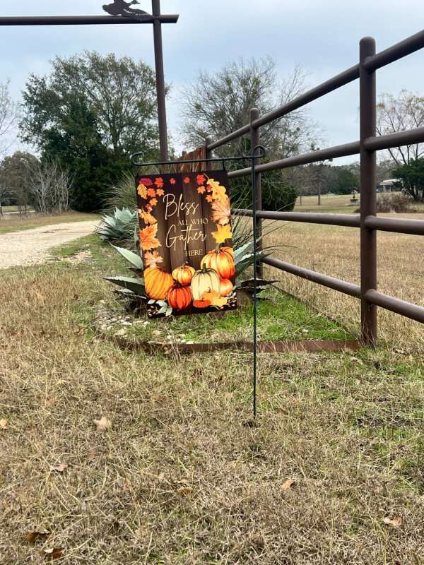 Customer Display Fall