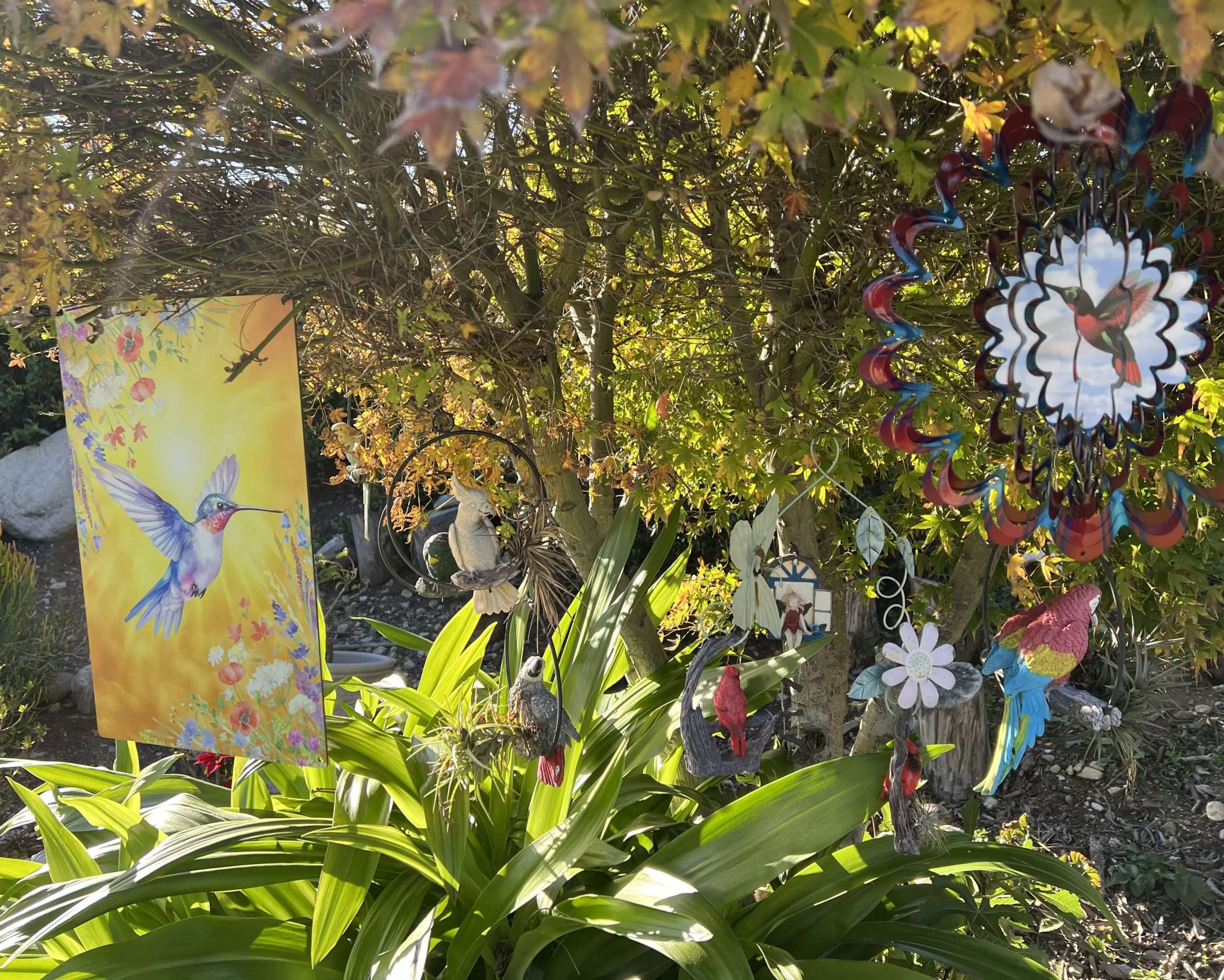 Hummingbird in Garden