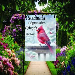 Cardinals Appear when Angels are Near (Memory7) - styled