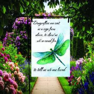 Dragonfly In Memory (Memory8) - styled